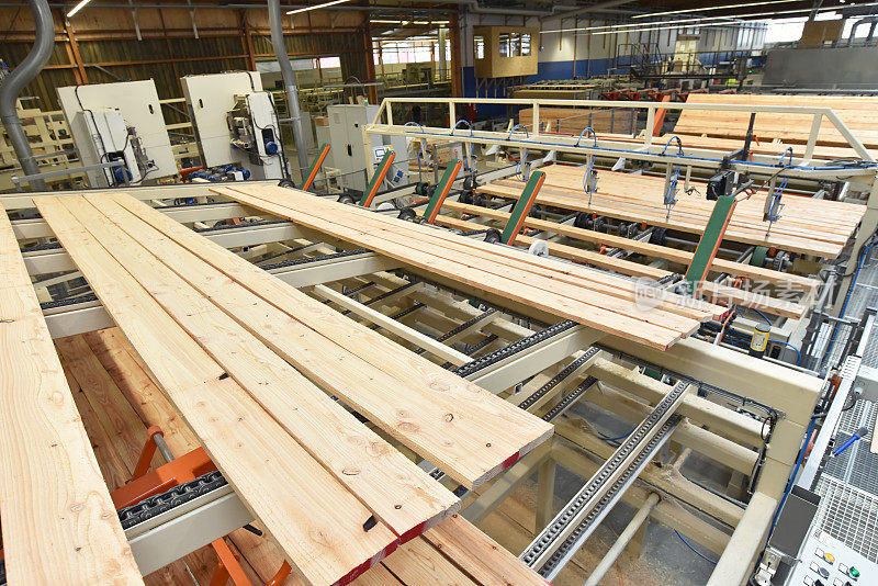 木工/锯木厂:在现代化的工业工厂-装配线生产中生产和加工木板